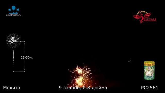 РС2561 смотреть онлайн