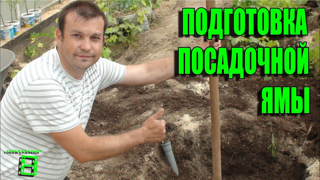 Подготовка посадочной ямы для винограда. Северный виноградник с "0" смотреть онлайн