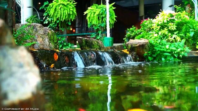 100 Most Beautiful Romantic Spanish Guitar Melodies - Best Relaxing Rumba / Mambo/ Samba Latin Musi смотреть онлайн