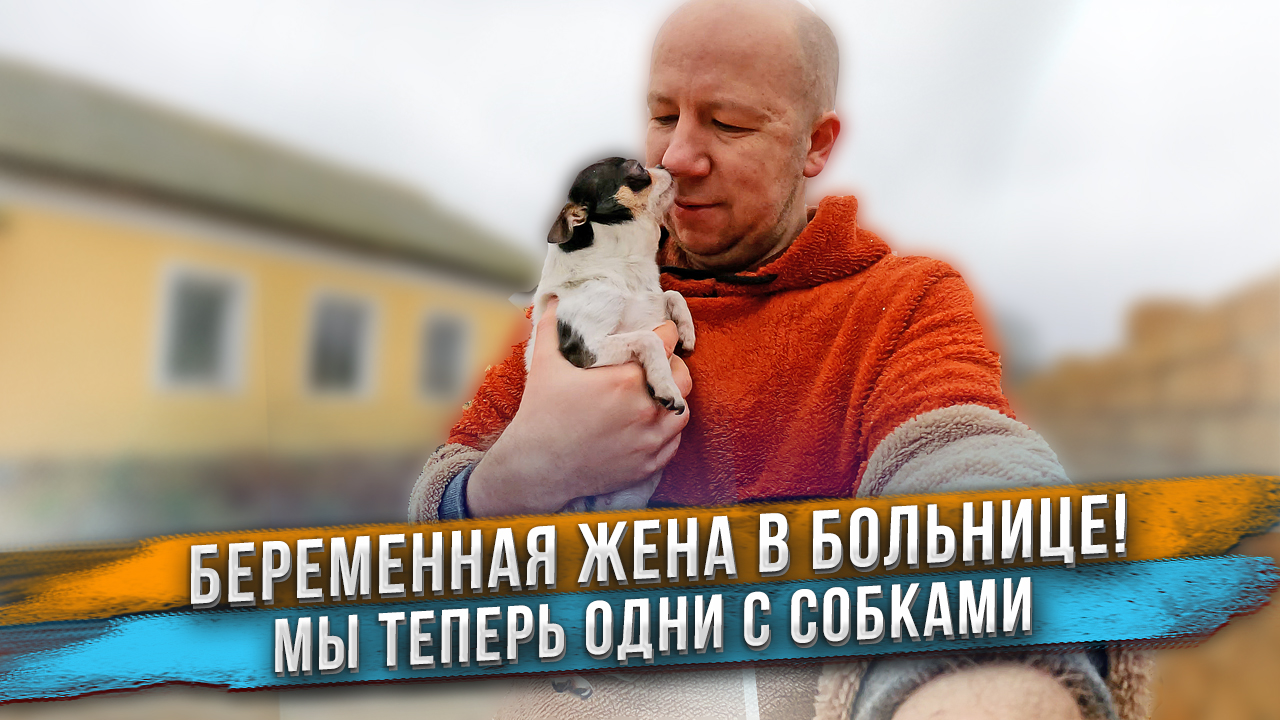 Яна в больнице ? Мы одни с кучей собак и щенков! ? смотреть онлайн