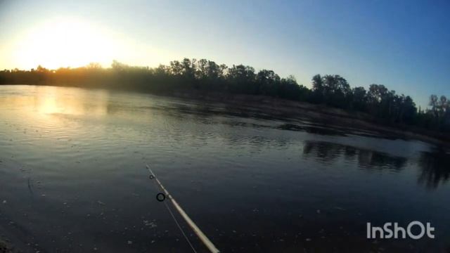 Сплав по реке Дон 2020.Часть вторая. Рыбалка, ночёвка на острове Качалинском и многое другое!!! смотреть онлайн