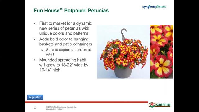 New Variety смотреть онлайн