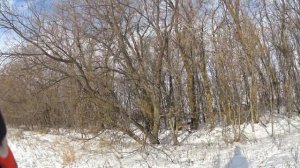 Охота с мр-155.Небольшая нарезка интересных моментов.