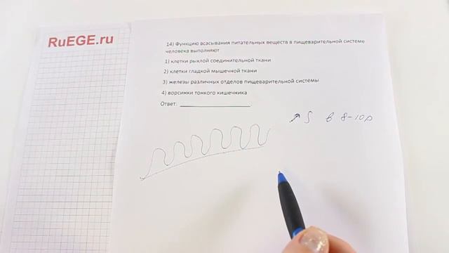 Решение демоверсии ЕГЭ по биологии 2016 | Задание 14. [Подготовка к ЕГЭ (RuEGE.ru)] смотреть онлайн