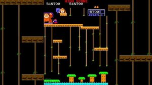 1982 [60fps] Donkey Kong Jr. 1040100pts