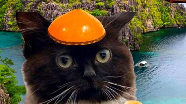 Чмоня на разных языках мем