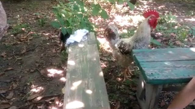 с.Барахты 29.07.2021 смотреть онлайн