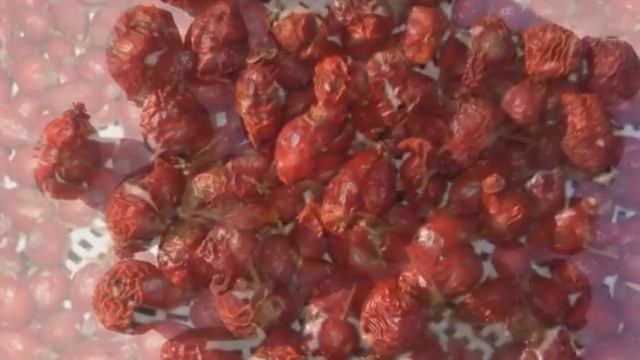 Шиповник. Польза и вред шиповника. смотреть онлайн