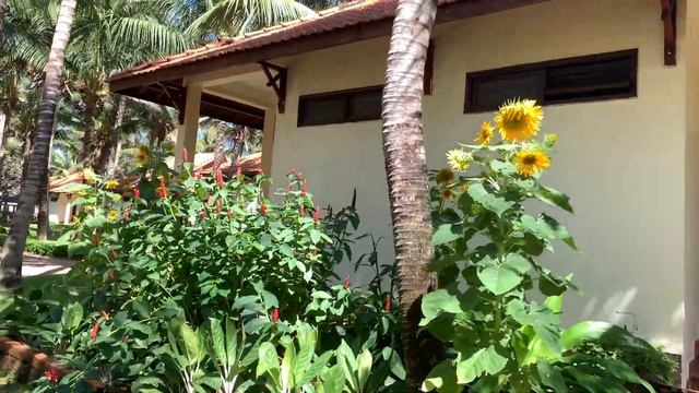 Обзор отеля Golden Coast Resort & Spa Вьетнам смотреть онлайн