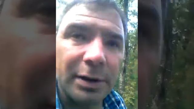 Работа Дьякова, картина Счастье смотреть онлайн