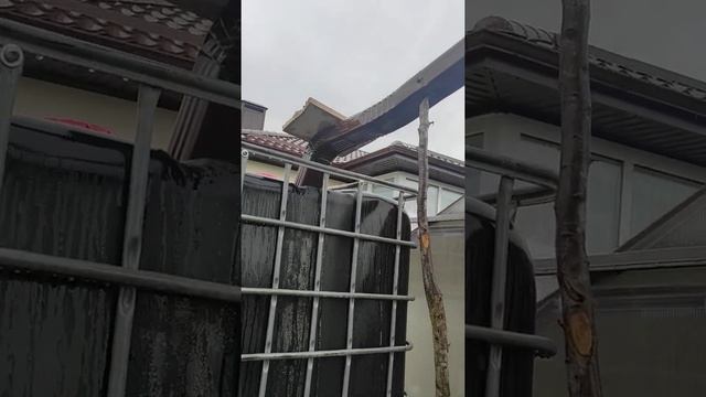 Сбор дождевой воды. смотреть онлайн