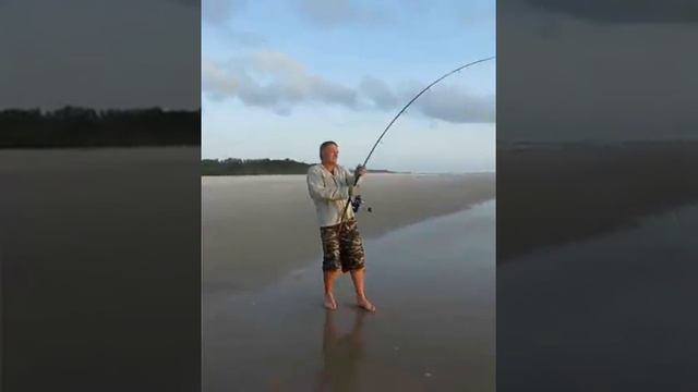 Рыбалка акулы габон африка shark fishing смотреть онлайн