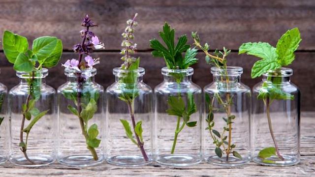 Как предохранялись женщины на Руси? Опасные и бесполезные методы... смотреть онлайн