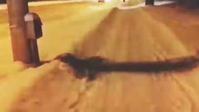ПОЗДНИЙ ВОЛШЕБНЫЙ ВЕЧЕРОК В КОСТРОМЕ...4 01 2019... смотреть онлайн