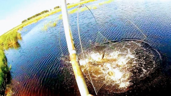 Рыбалка на подЪемник(паук)!!! Ловля рыбы! Отпустил весь улов.