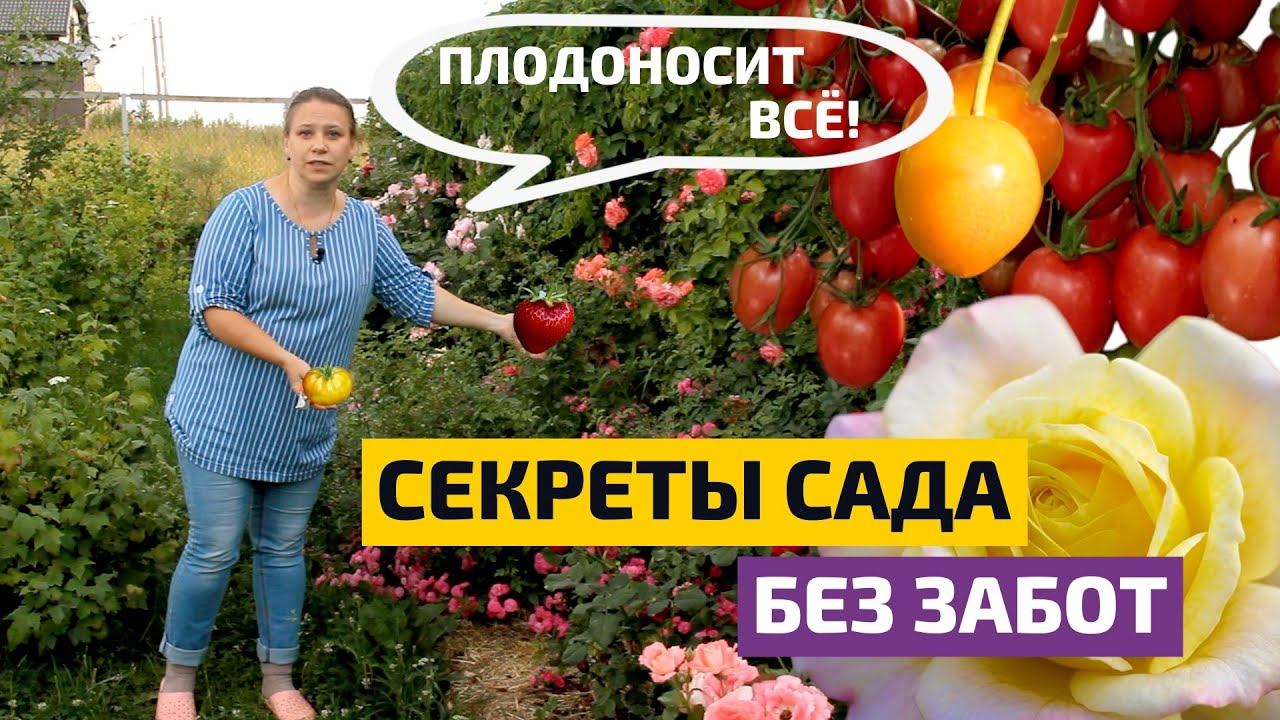 Правильное соседство и волшебная мульча: как вырастить южные культуры на севере? // FORUMHOUSE смотреть онлайн