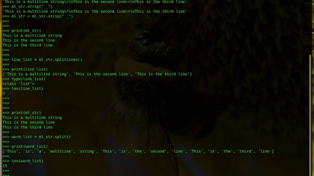 String and List Related Operations in Python смотреть онлайн
