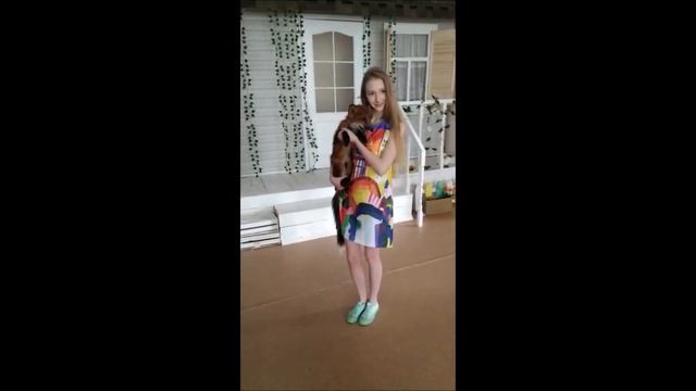 Ручная, домашняя Лиса. Первая фотосессия Звездочки по имени Мики. смотреть онлайн