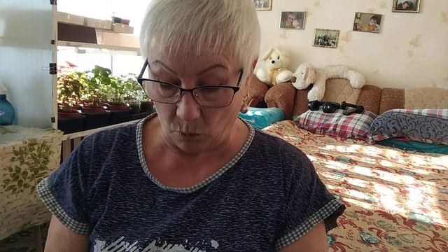 Сроки хранения и посадки семян овощей. смотреть онлайн