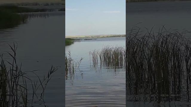 Вот мы и у воды.Отдых. Рыбалка.Давлеканово.Башкортостан. смотреть онлайн