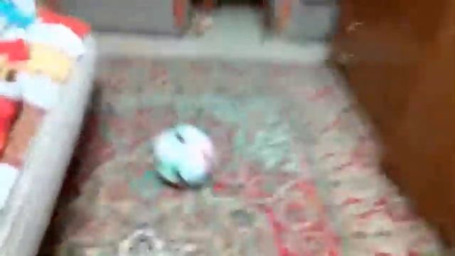 Мяч катится комне смотреть онлайн