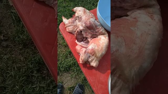 Шашлык в казане из Нутрии!!! 😉😉😉 смотреть онлайн