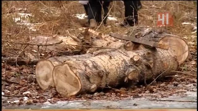 Точечная застройка смотреть онлайн