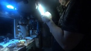 Как ободрать или снять шкуру Соболя. Выделка соболя