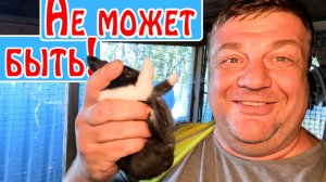 Работа на свежем воздухе