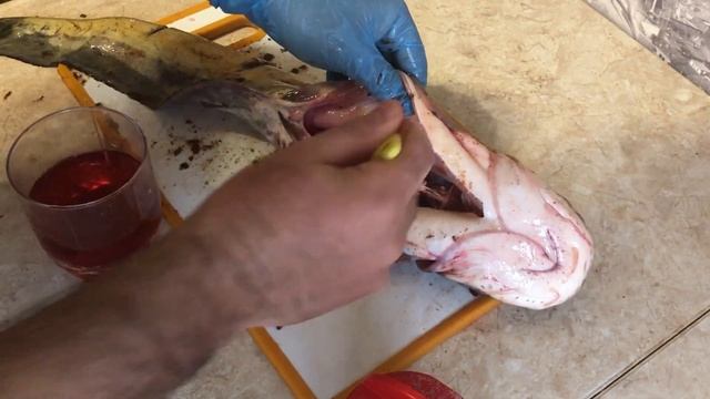 Запеченное в духовке — рецепты и советы