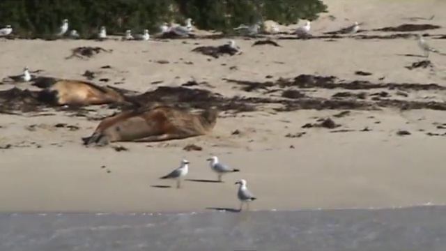 Velocity 30 Snippets Carnac Enviro