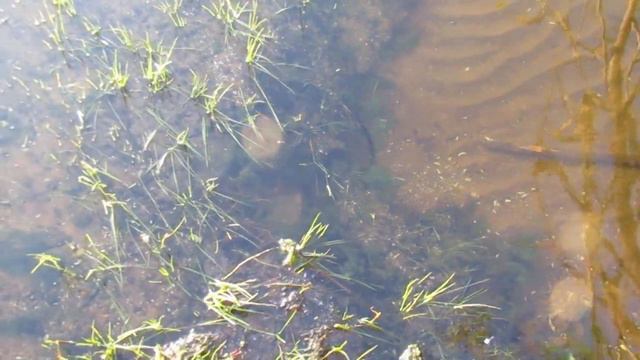 уж под водой смотреть онлайн