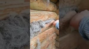 Конопатка сруба паклей