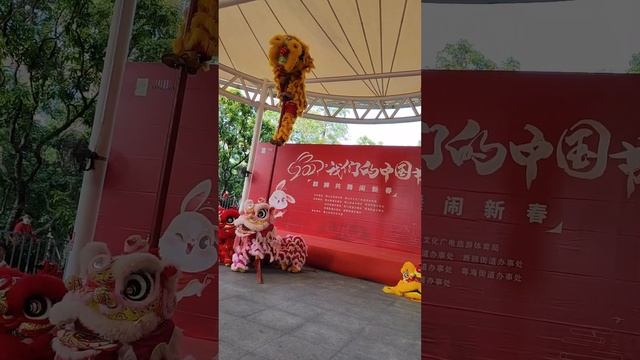 Танец льва шоу на Китайский новый год 2023,Lion Dance,Chinese New Year 2023#China#Китай смотреть онлайн