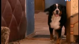 166 В очередь Букины дети