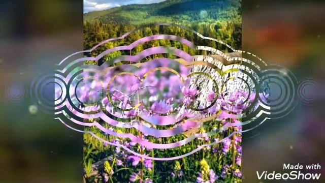 Все краски лета ????? смотреть онлайн