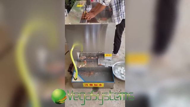 Очистка куриных яиц, промышленная чистка яиц Vega Egg C 2500 middle смотреть онлайн