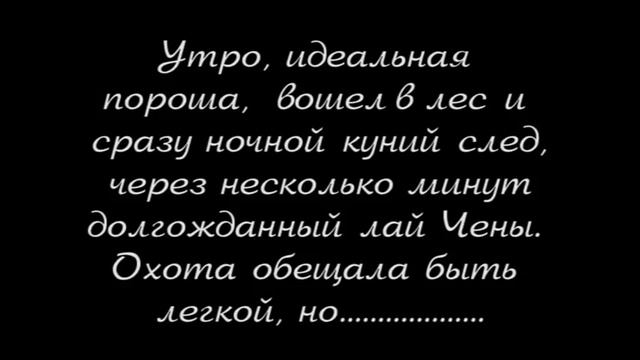 Охота на куницу с лайками смотреть онлайн