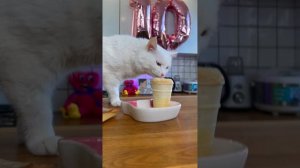 СОФА ПРИДУМАЛА ТРЕК?