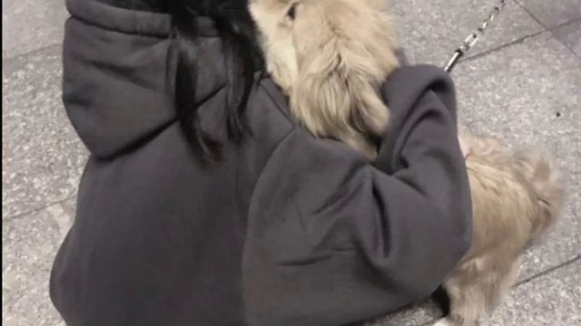 |Я тебя люблю|-Где Фантом?|♡♡♡