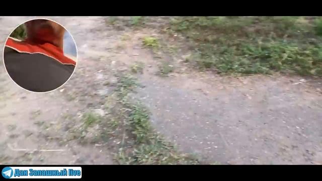 У этой обезьяны есть собственный АВТОДОМ! | Дан Запашный в гостях у шимпанзе Бони смотреть онлайн