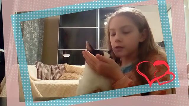 # НашTAG/ совместное видео с моим котиком Тимой♡♡♡ смотреть онлайн