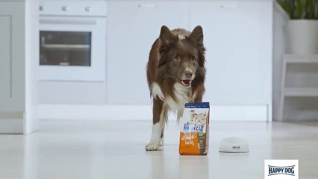 Корма Happy Dog для собак и кошек смотреть онлайн