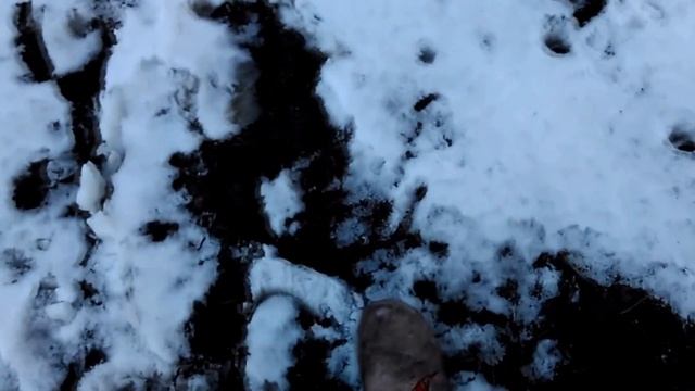 1 АПРЕЛЯ 2017. рассада. огурцы, перцы, томаты. смотреть онлайн