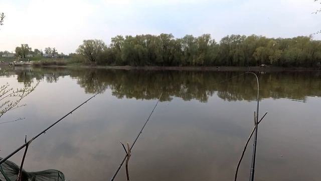 Воронеж Рыбалка на фидер в Шилово смотреть онлайн