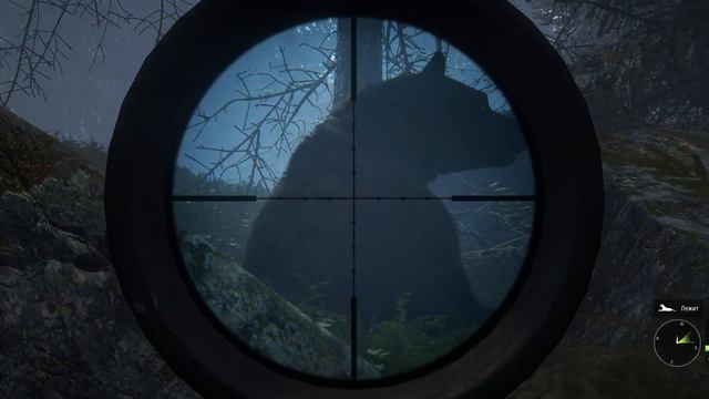 Чилим-шпилим The Hunter Call of the Wild смотреть онлайн