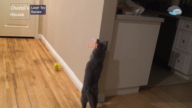 Automatic Laser Cat Toy Review by Korat Cat смотреть онлайн