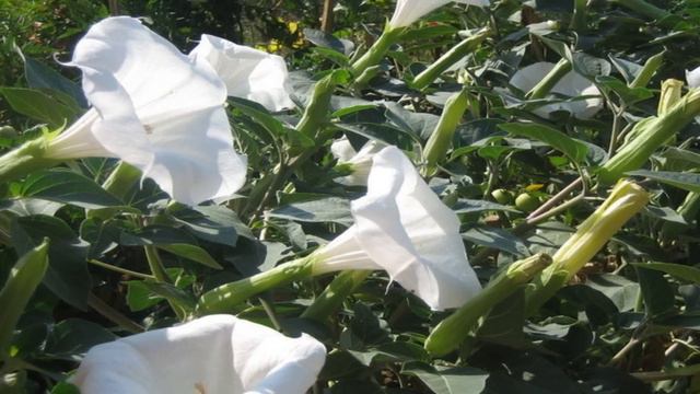 Creepy Reddit Accounts - Episode 1 смотреть онлайн