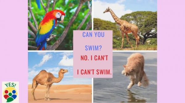 Can you swim? Yes, I can. No, I can't.