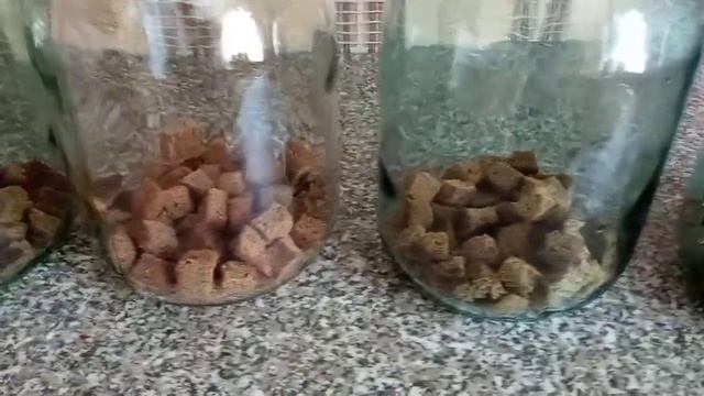 Вкусный отменный КВАС? в жаркую погоду САМО ТО!!! Что не сделаешь ради любимого мужа? смотреть онлайн